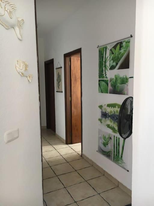 Apartamento Playero Privado Wifi- Morrojable Morro Jable Exterior foto